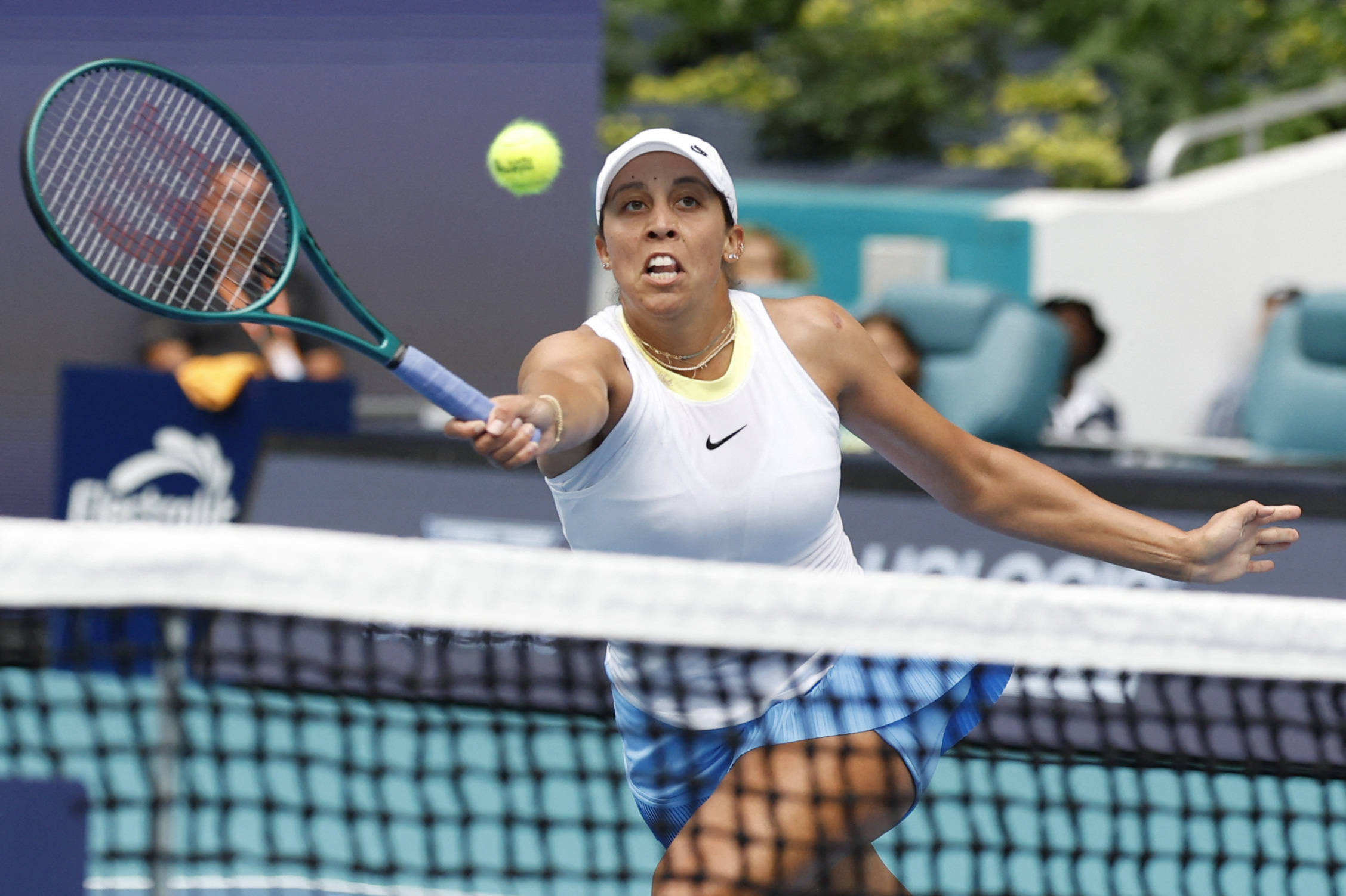 国际泳联世 国际泳联世