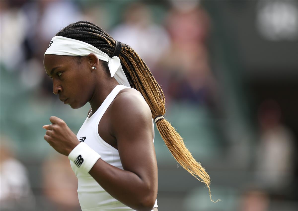 费寻找替代 费寻找替代