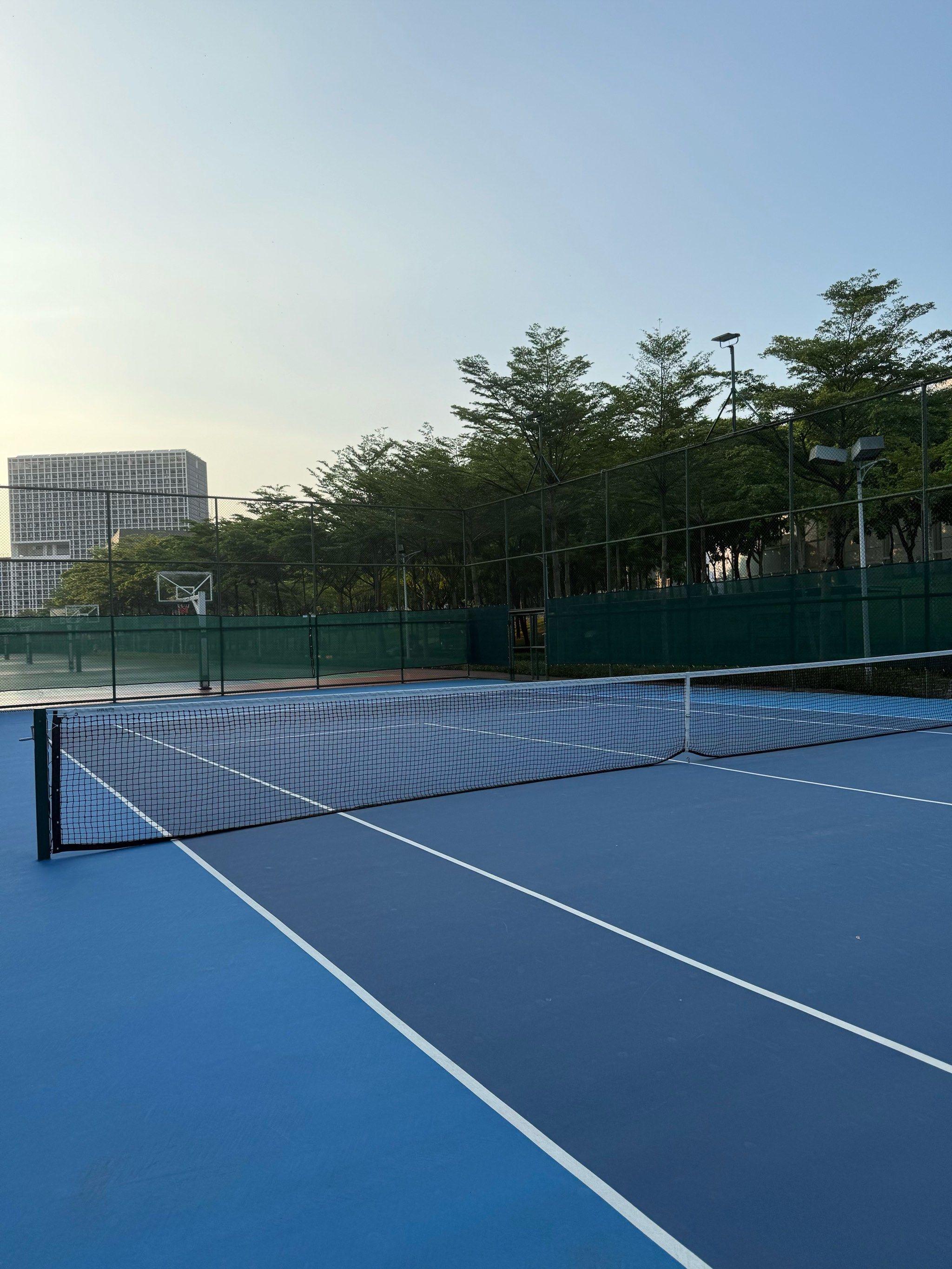 她在对战强 她在对战强