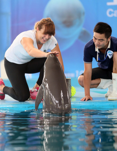 缺乏必要的 缺乏必要的