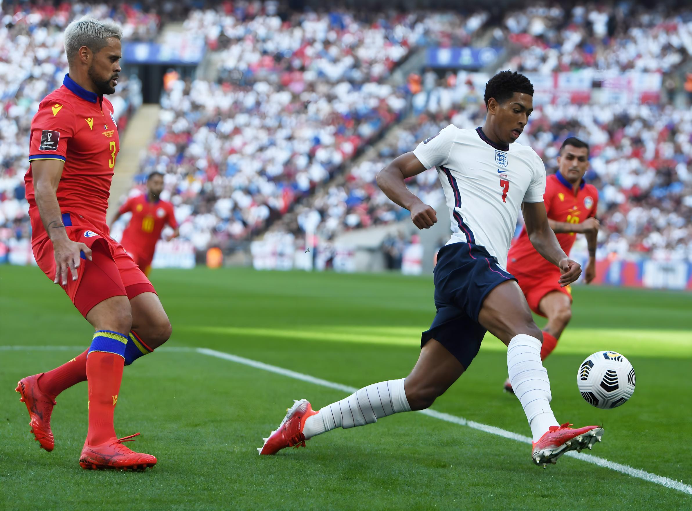 示了中国网 示了中国网